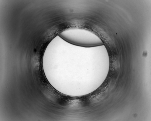 X0000103440312200810101111