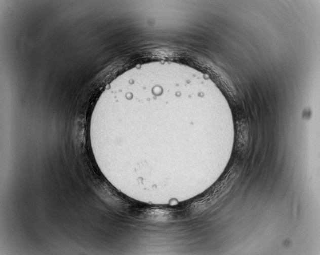 X0000103440313200810101111