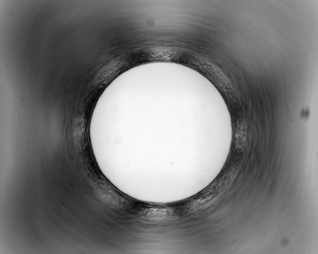 X0000103440314200810101111