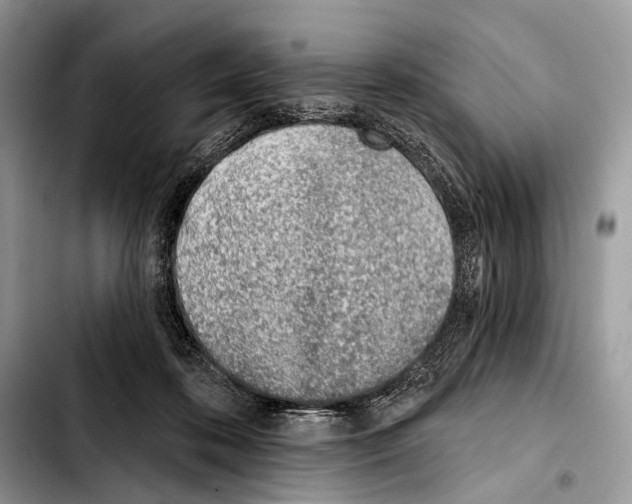 X0000103440316200810101111