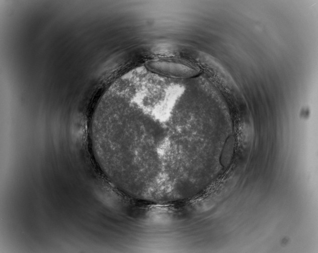 X0000103440320200810101111