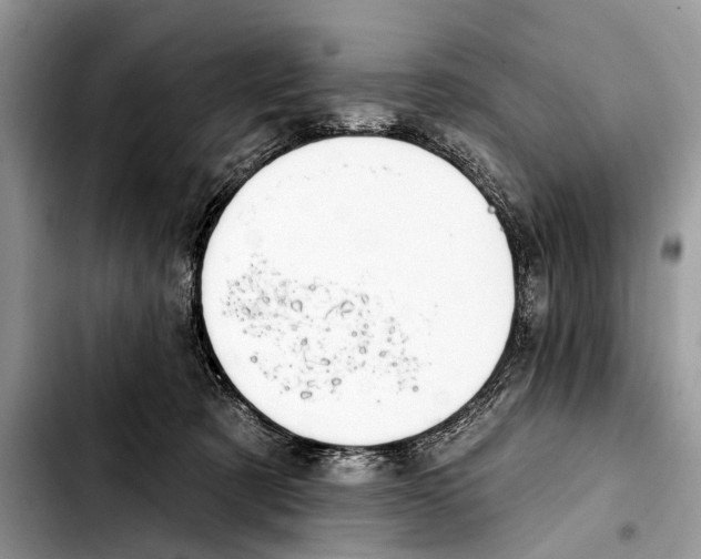 X0000103440321200810101111