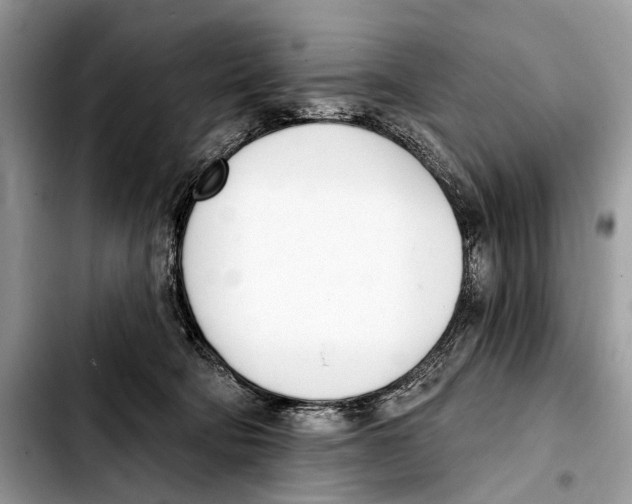 X0000103440322200810101111