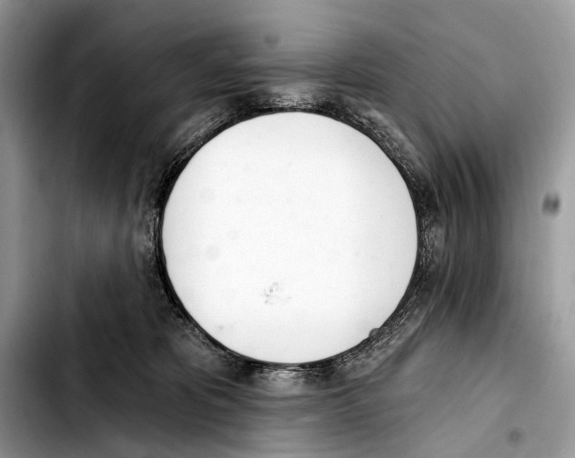 X0000103440325200810101111