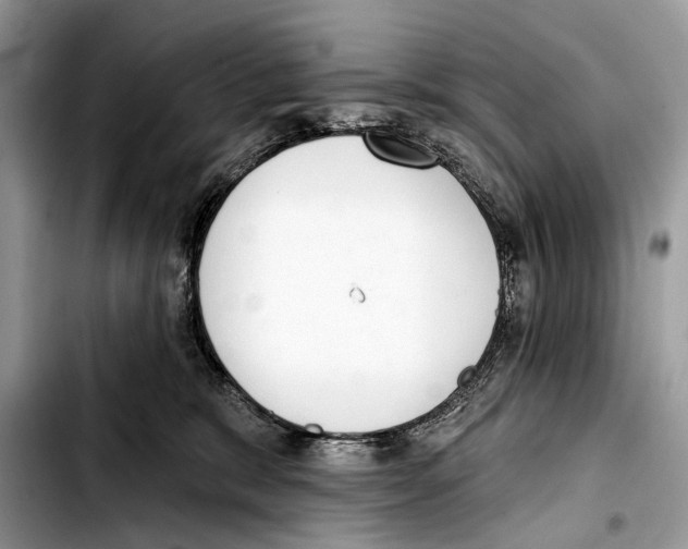 X0000103440327200810101111