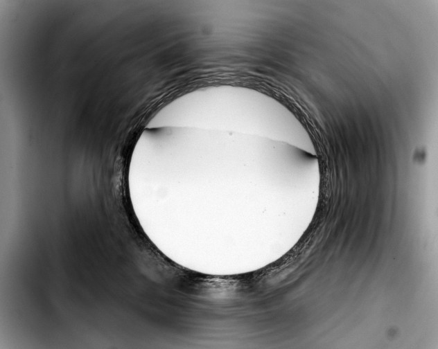 X0000103440328200810101111