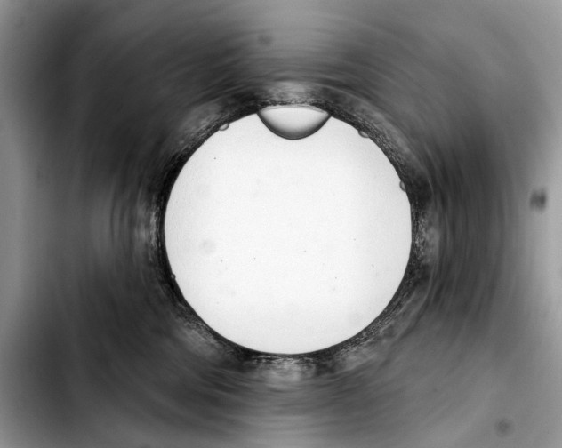 X0000103440330200810101111