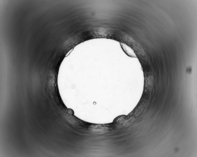 X0000103440331200810101111
