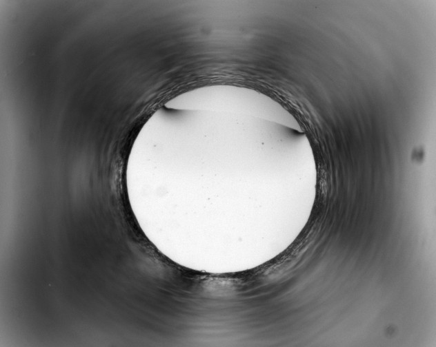 X0000103440332200810101111