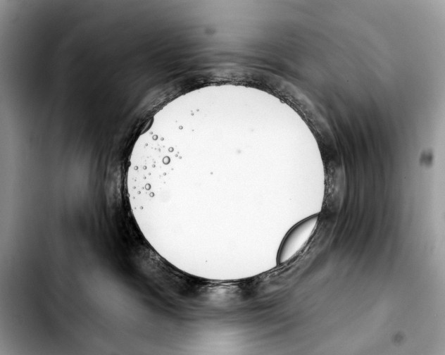 X0000103440333200810101110