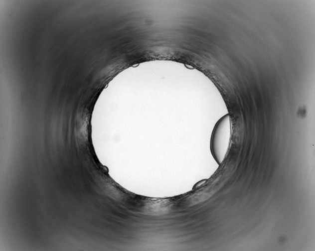 X0000103440334200810101110