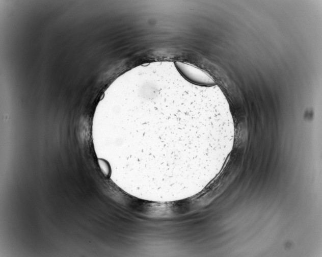 X0000103440335200810101110