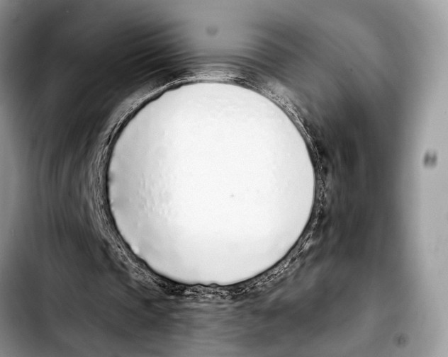 X0000103440337200810101110