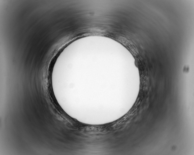 X0000103440338200810101110