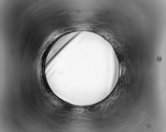 X0000103440339200810101110