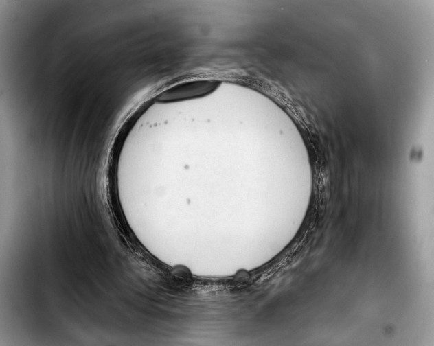 X0000103440340200810101110