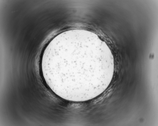 X0000103440341200810101110