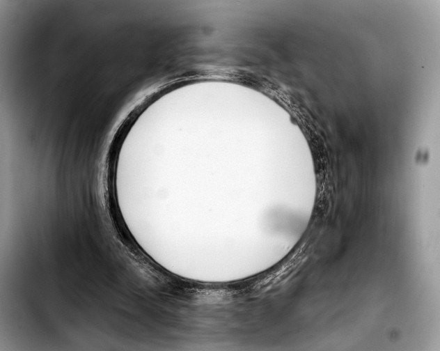 X0000103440342200810101110