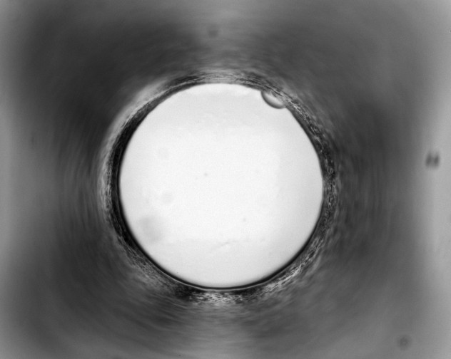 X0000103440343200810101110