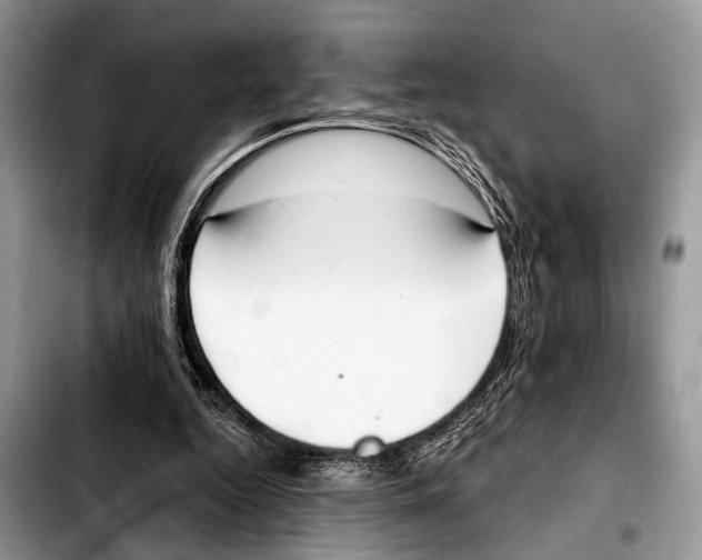 X0000103440344200810101110