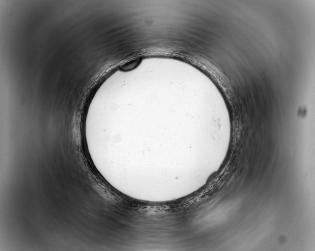 X0000103440345200810101110