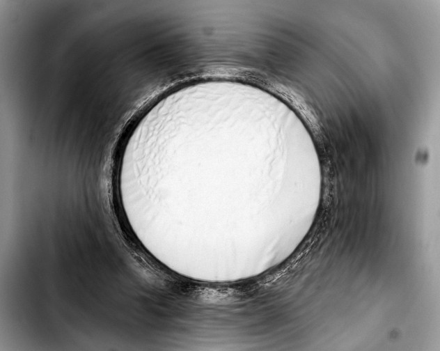 X0000103440346200810101110