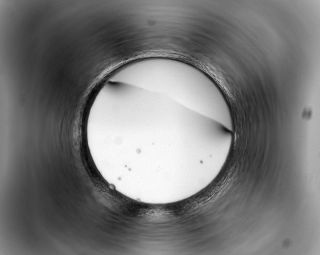 X0000103440348200810101110