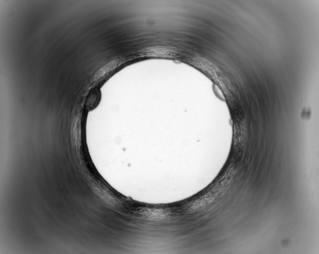 X0000103440349200810101110