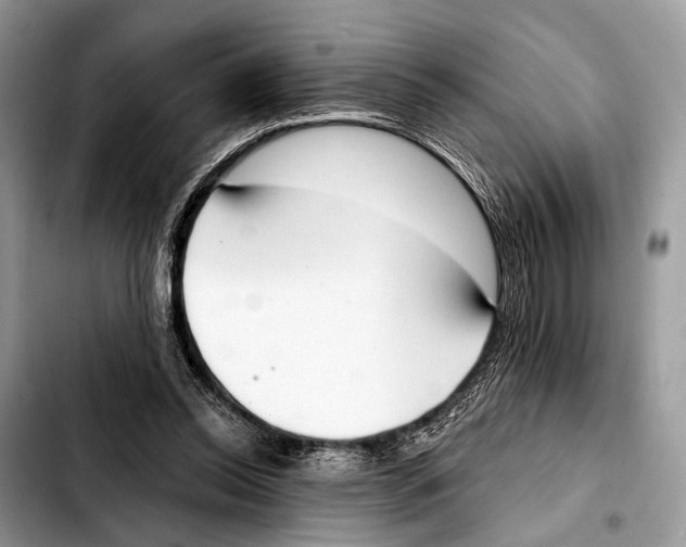 X0000103440350200810101110