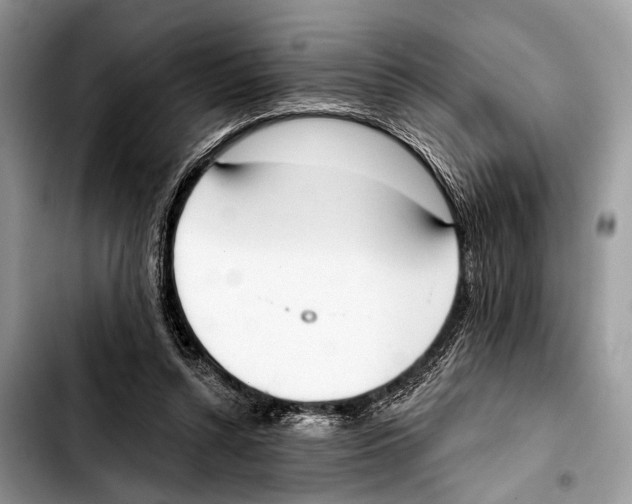 X0000103440352200810101110