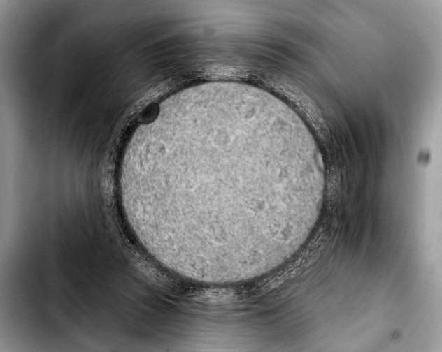 X0000103440353200810101110