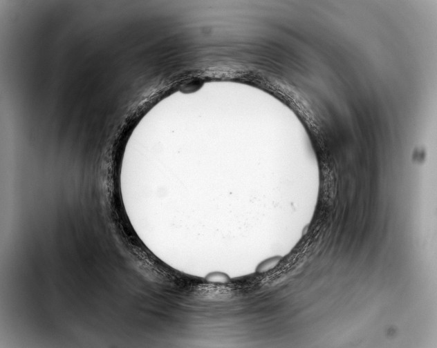 X0000103440354200810101110