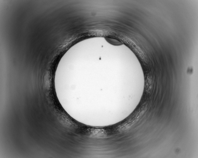 X0000103440355200810101110