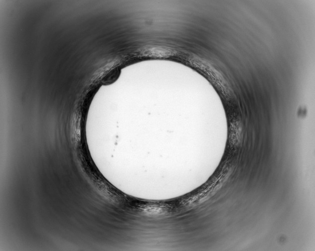 X0000103440358200810101110