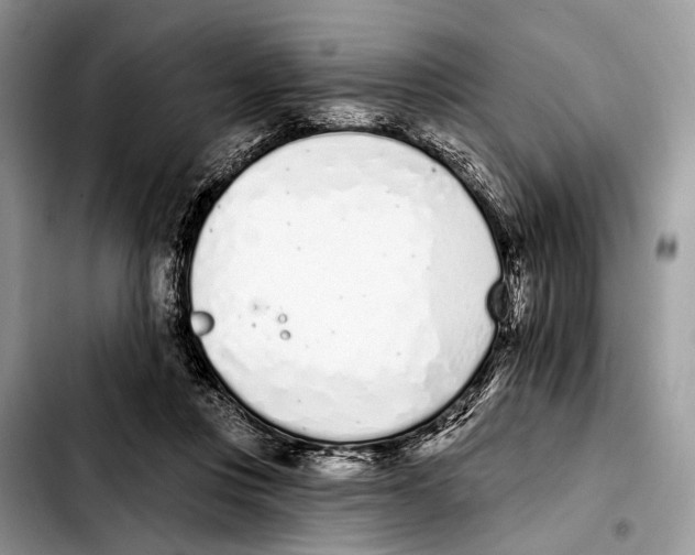 X0000103440359200810101110