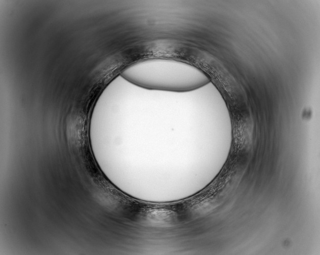 X0000103440360200810101110