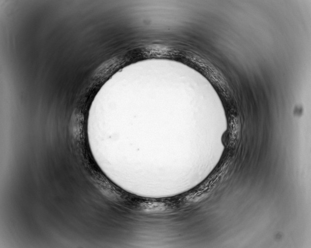 X0000103440361200810101110