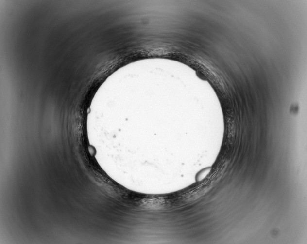 X0000103440362200810101110