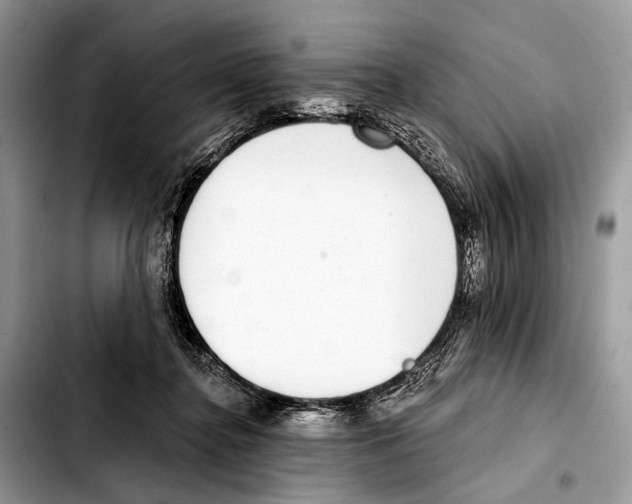 X0000103440364200810101110