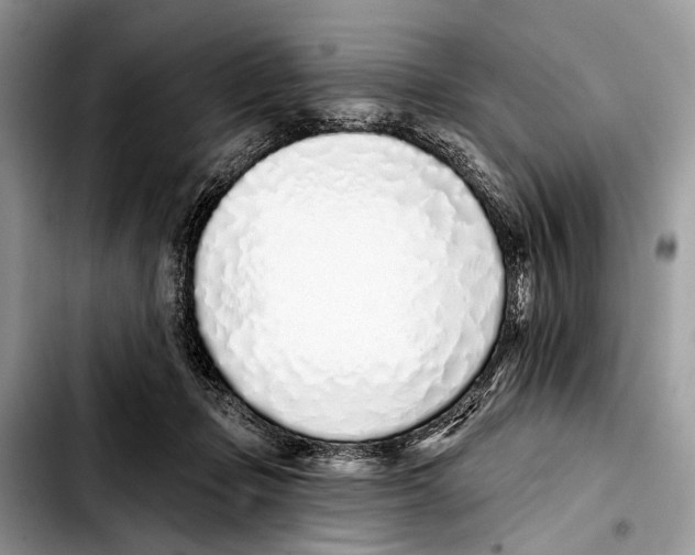 X0000103440365200810101110