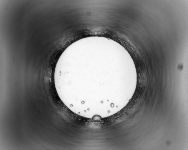 X0000103440368200810101110