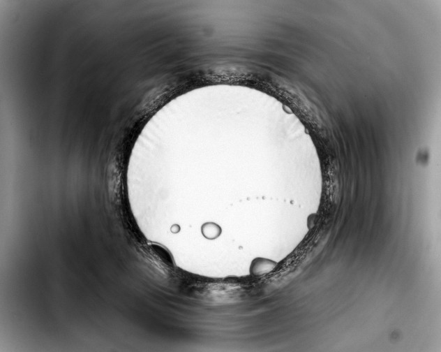 X0000103440371200810101110