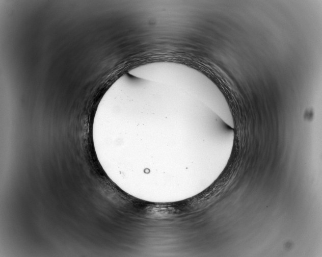 X0000103440372200810101110
