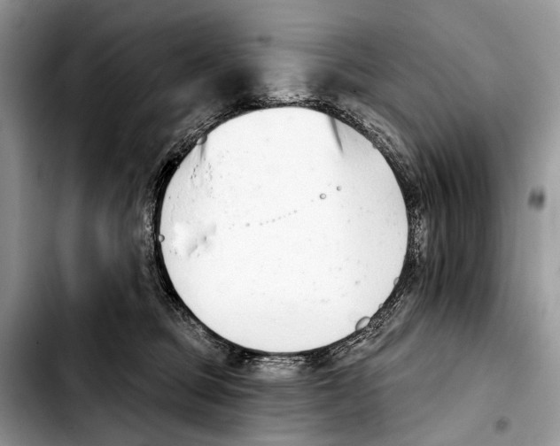 X0000103440373200810101110