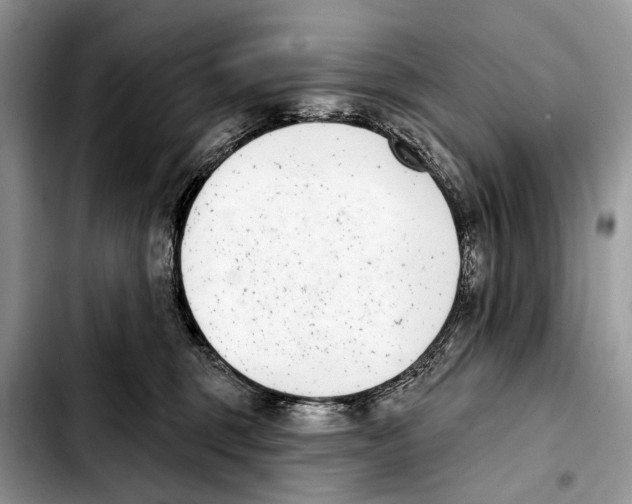 X0000103440375200810101110