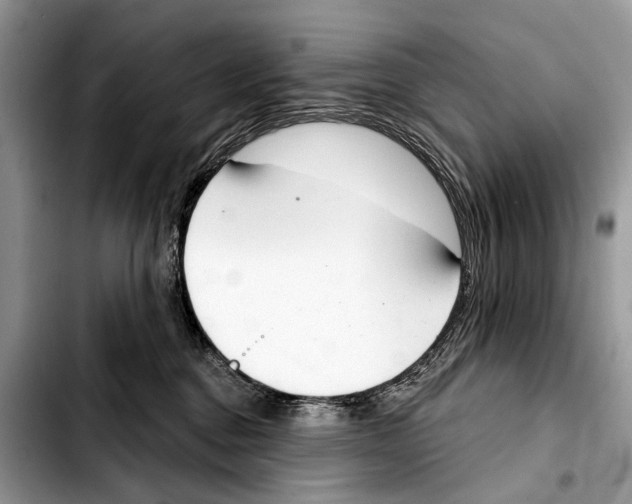 X0000103440376200810101110