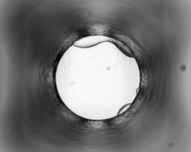 X0000103440377200810101110