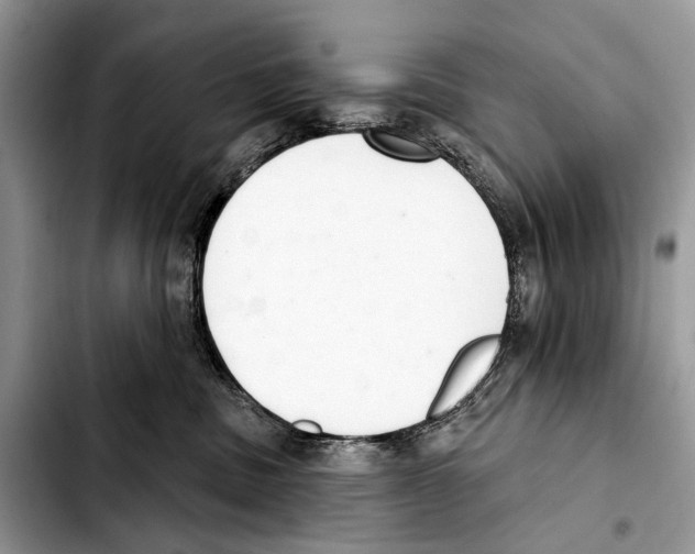 X0000103440379200810101110