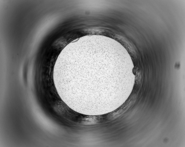 X0000103440381200810101110