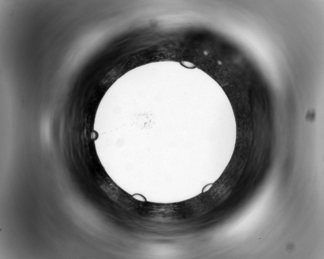 X0000103440382200810101110